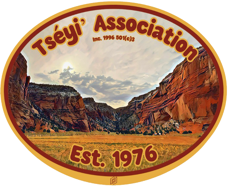  Tséyi’ ASSOCIATION  –  Non Profit Organization  